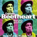 Captain Beefheart I'm Glad Profile Image