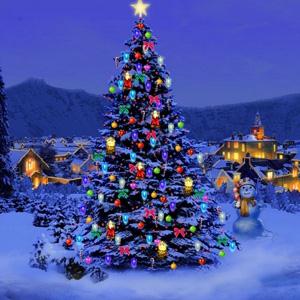 Easily Download Chant de Noël Printable PDF piano music notes, guitar tabs for Piano, Vocal & Guitar Chords. Transpose or transcribe this score in no time - Learn how to play song progression.