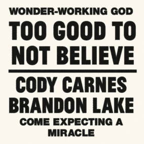 Too Good To Not Believe (feat. Brandon Lake) cover image