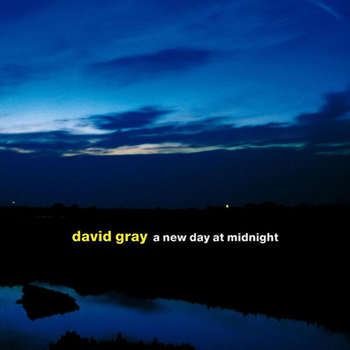 David Gray Dead In The Water Profile Image