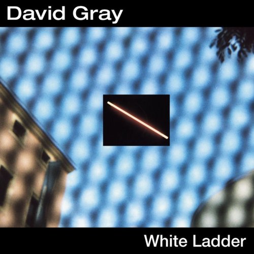 David Gray Please Forgive Me Profile Image