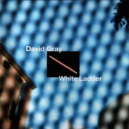 David Gray Sail Away Profile Image