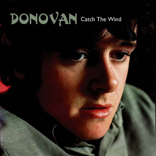 Donovan Catch The Wind Profile Image