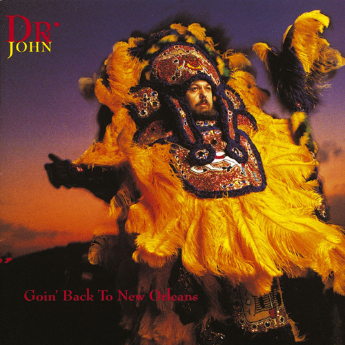 Easily Download Dr. John Printable PDF piano music notes, guitar tabs for Piano, Vocal & Guitar Chords (Right-Hand Melody). Transpose or transcribe this score in no time - Learn how to play song progression.