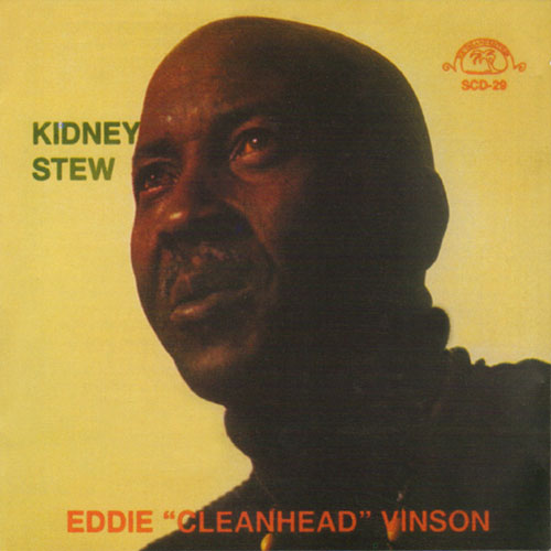 Kidney Stew Blues cover image