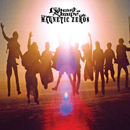 Edward Sharpe & the Magnetic Zeros Home Profile Image