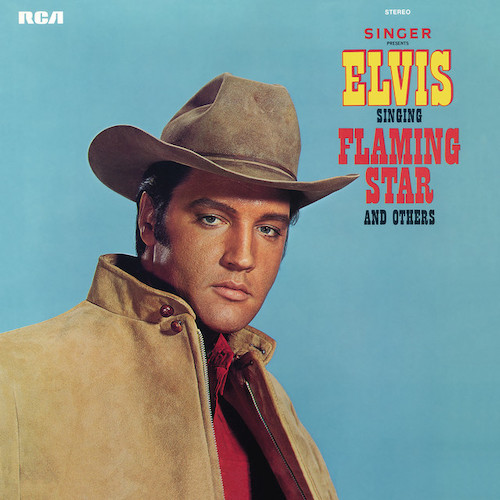 Flaming Star cover image