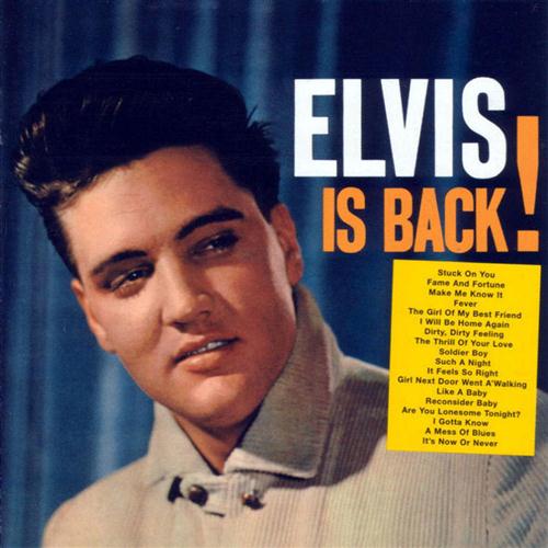 Elvis Presley It's Now Or Never Profile Image