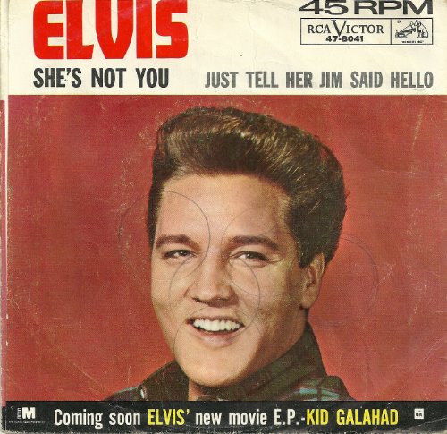 Elvis Presley She's Not You Profile Image