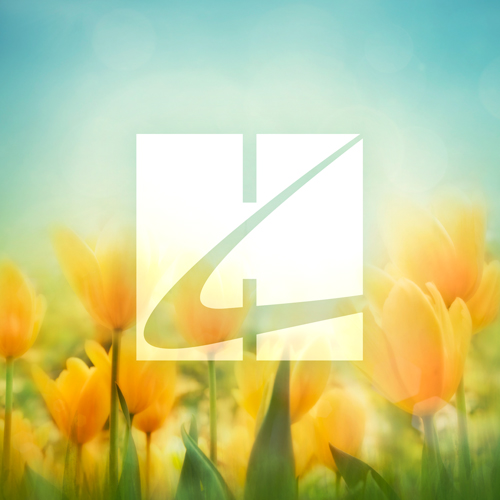 Geistliche Gesangbuchlein Download Printable PDF Score Easily Download Geistliche Gesangbuchlein Printable PDF piano music notes, guitar tabs for Piano Solo. Transpose or transcribe this score in no time - Learn how to play song progression.