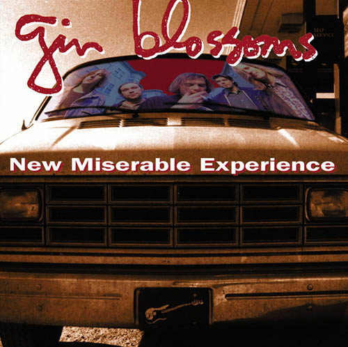 Gin Blossoms Hey Jealousy Profile Image