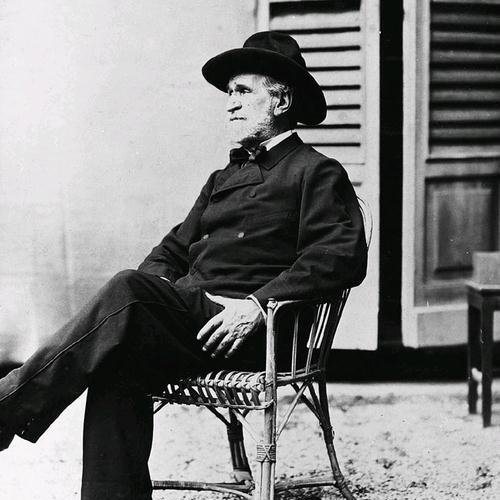 Easily Download Giuseppe Verdi Printable PDF piano music notes, guitar tabs for Big Note Piano. Transpose or transcribe this score in no time - Learn how to play song progression.