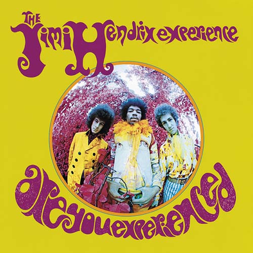 Are You Experienced? cover image