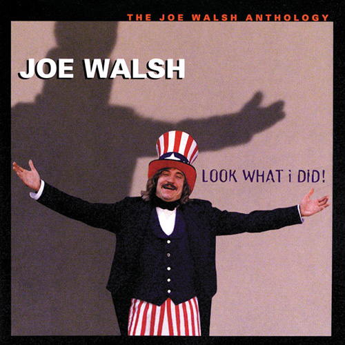 Joe Walsh All Night Long Profile Image