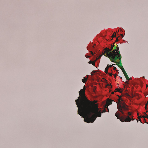 John Legend All Of Me Profile Image