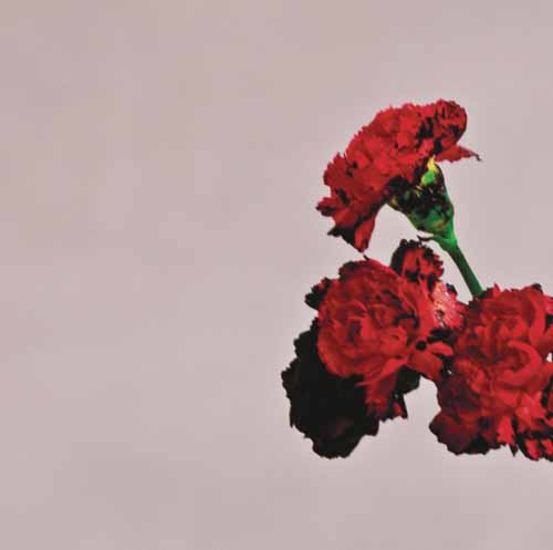Easily Download John Legend Printable PDF piano music notes, guitar tabs for Vocal Pro + Piano/Guitar. Transpose or transcribe this score in no time - Learn how to play song progression.