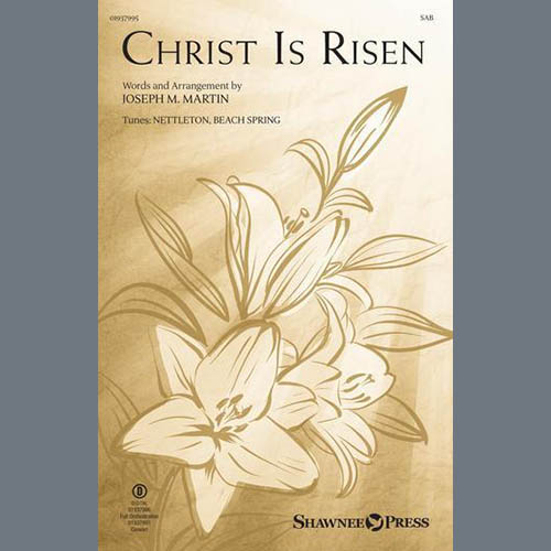 Easily Download Joseph M. Martin Printable PDF piano music notes, guitar tabs for SAB Choir. Transpose or transcribe this score in no time - Learn how to play song progression.
