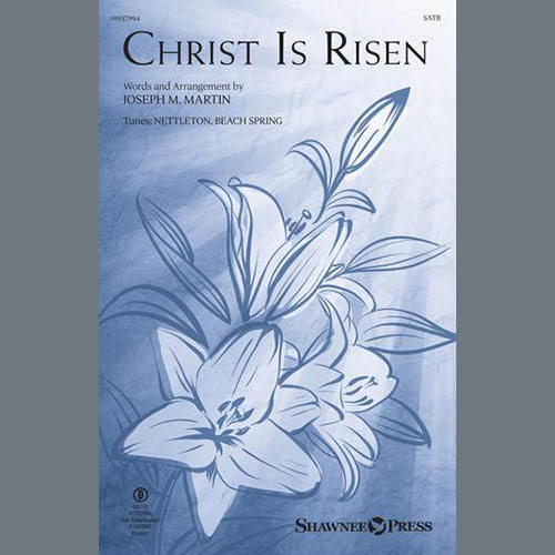 Easily Download Joseph M. Martin Printable PDF piano music notes, guitar tabs for SATB Choir. Transpose or transcribe this score in no time - Learn how to play song progression.