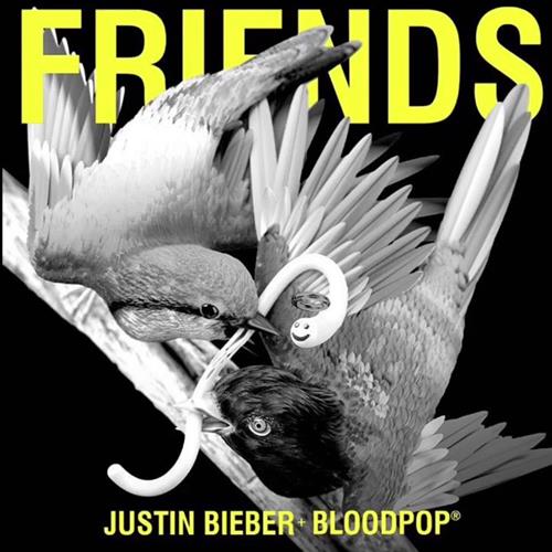 Easily Download Justin Bieber Printable PDF piano music notes, guitar tabs for Piano, Vocal & Guitar Chords (Right-Hand Melody). Transpose or transcribe this score in no time - Learn how to play song progression.
