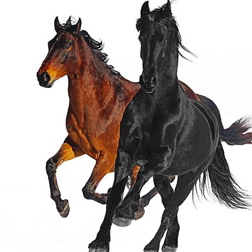 Old Town Road (Remix) cover image