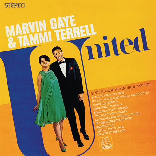 Marvin Gaye & Tammi Terrell Ain't No Mountain High Enough Profile Image