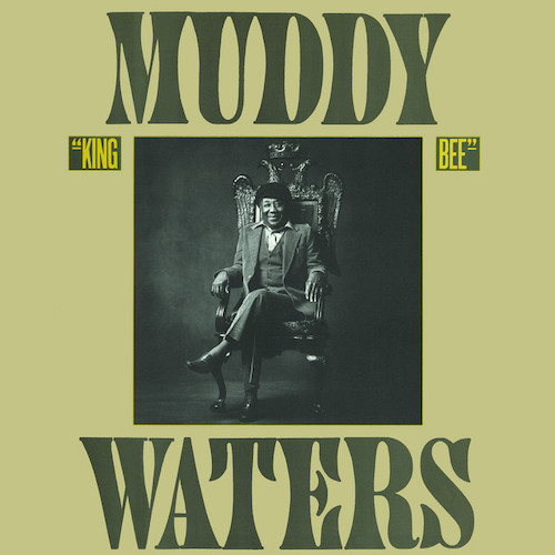 Easily Download Muddy Waters Printable PDF piano music notes, guitar tabs for Piano, Vocal & Guitar Chords (Right-Hand Melody). Transpose or transcribe this score in no time - Learn how to play song progression.