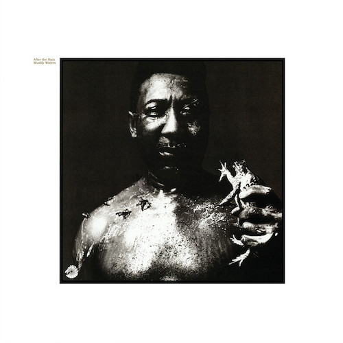 Easily Download Muddy Waters Printable PDF piano music notes, guitar tabs for Guitar Tab. Transpose or transcribe this score in no time - Learn how to play song progression.