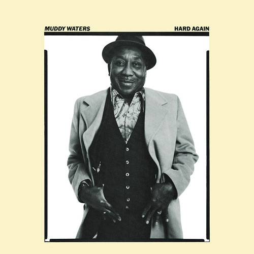 Muddy Waters Mannish Boy Profile Image