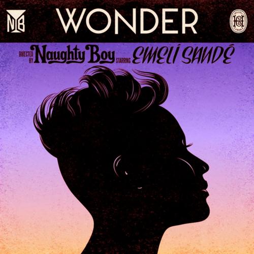 Wonder (feat. Emeli Sandé) cover image