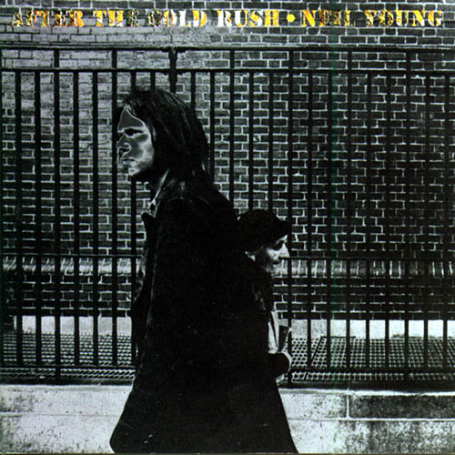 Easily Download Neil Young Printable PDF piano music notes, guitar tabs for Guitar Rhythm Tab. Transpose or transcribe this score in no time - Learn how to play song progression.