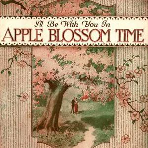 Albert Von Tilzer Download Printable PDF Score Easily Download Albert Von Tilzer Printable PDF piano music notes, guitar tabs for Piano, Vocal & Guitar Chords. Transpose or transcribe this score in no time - Learn how to play song progression.