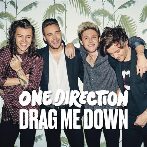 One Direction Drag Me Down Profile Image