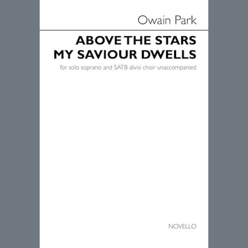 Easily Download Owain Park Printable PDF piano music notes, guitar tabs for SATB Choir. Transpose or transcribe this score in no time - Learn how to play song progression.