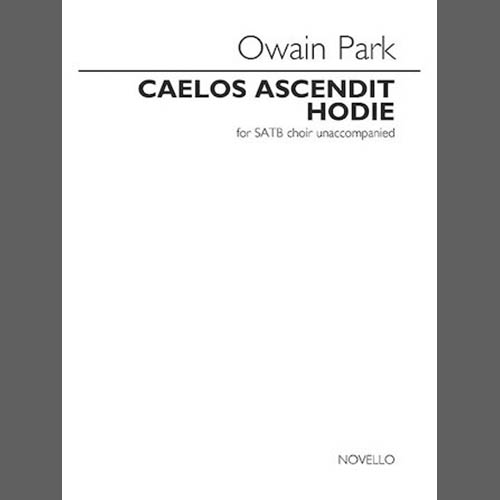 Easily Download Owain Park Printable PDF piano music notes, guitar tabs for SATB Choir. Transpose or transcribe this score in no time - Learn how to play song progression.