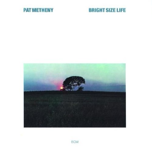 Pat Metheny Download Printable PDF Score Easily Download Pat Metheny Printable PDF piano music notes, guitar tabs for Real Book – Melody & Chords – Eb Instruments. Transpose or transcribe this score in no time - Learn how to play song progression.