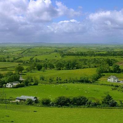 The Fields Of Athenry cover image