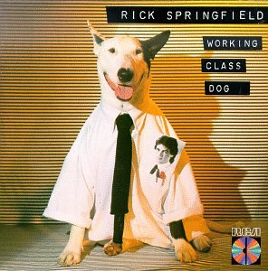 Easily Download Rick Springfield Printable PDF piano music notes, guitar tabs for Easy Lead Sheet / Fake Book. Transpose or transcribe this score in no time - Learn how to play song progression.