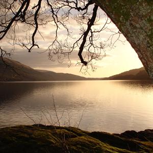 Scottish Folksong Loch Lomond Profile Image