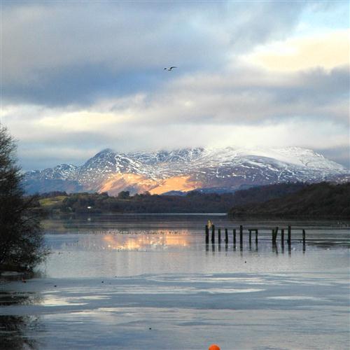 Scottish Folksong Download Printable PDF Score Easily Download Scottish Folksong Printable PDF piano music notes, guitar tabs for Piano Solo. Transpose or transcribe this score in no time - Learn how to play song progression.