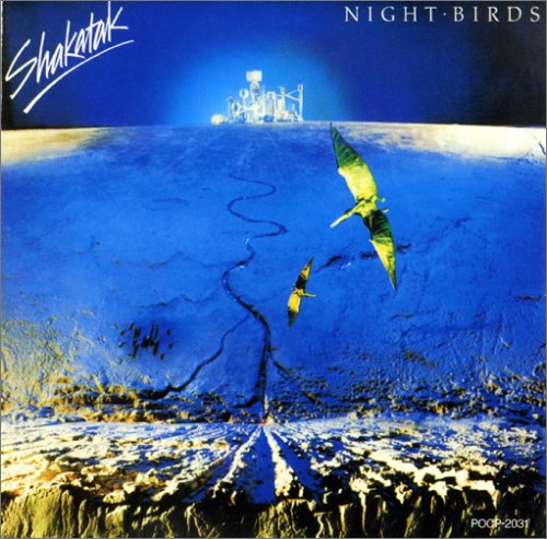 Night Birds cover image