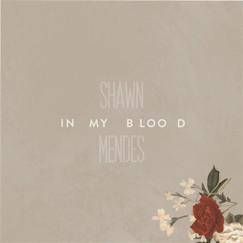 Easily Download Shawn Mendes Printable PDF piano music notes, guitar tabs for SAB Choir. Transpose or transcribe this score in no time - Learn how to play song progression.