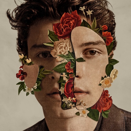 Easily Download Shawn Mendes Printable PDF piano music notes, guitar tabs for Big Note Piano. Transpose or transcribe this score in no time - Learn how to play song progression.