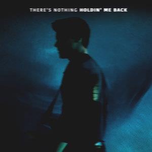 Easily Download Shawn Mendes Printable PDF piano music notes, guitar tabs for Ukulele. Transpose or transcribe this score in no time - Learn how to play song progression.