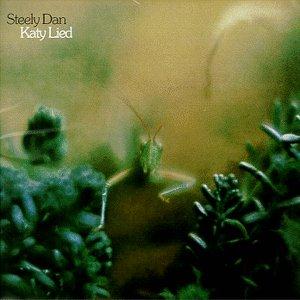 Easily Download Steely Dan Printable PDF piano music notes, guitar tabs for Guitar Tab. Transpose or transcribe this score in no time - Learn how to play song progression.