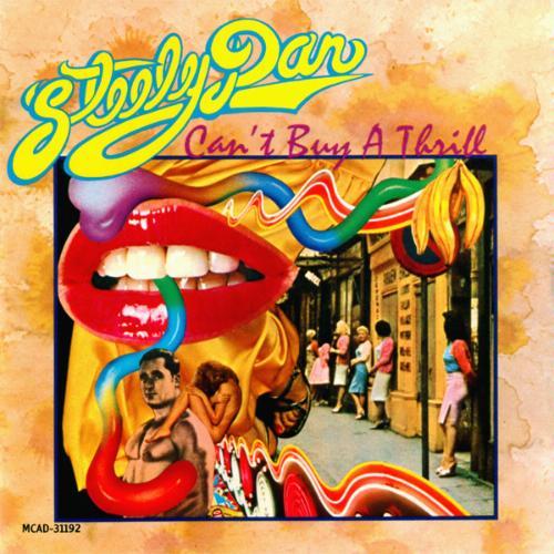 Steely Dan Do It Again Profile Image