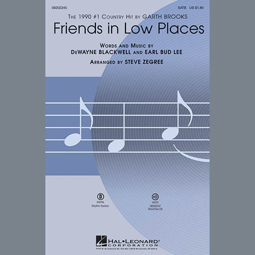 Friends In Low Places cover image