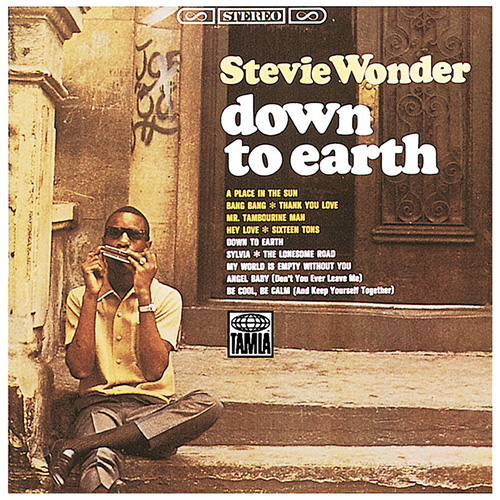 Stevie Wonder A Place In The Sun Profile Image