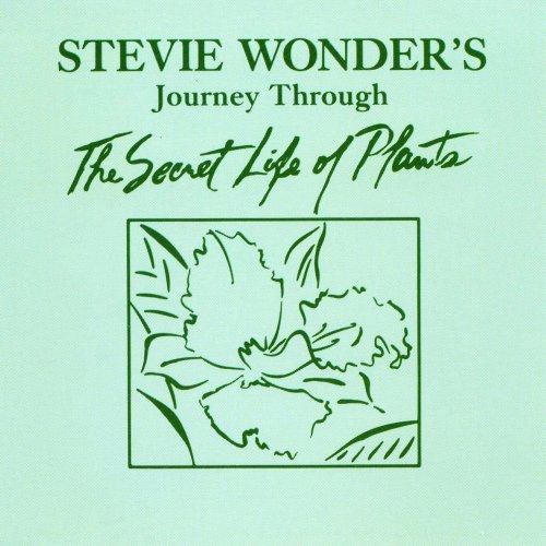 Stevie Wonder Download Printable PDF Score Easily Download Stevie Wonder Printable PDF piano music notes, guitar tabs for Piano, Vocal & Guitar Chords (Right-Hand Melody). Transpose or transcribe this score in no time - Learn how to play song progression.