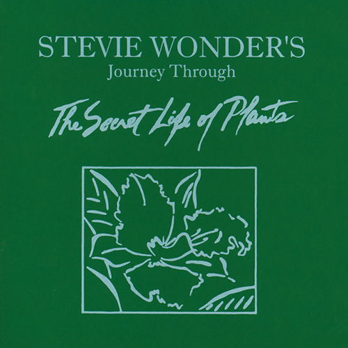 Stevie Wonder Download Printable PDF Score Easily Download Stevie Wonder Printable PDF piano music notes, guitar tabs for Guitar Tab. Transpose or transcribe this score in no time - Learn how to play song progression.
