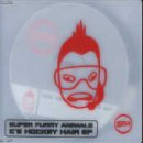 Super Furry Animals Ice Hockey Hair Profile Image